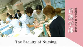 The Faculty of Nursing