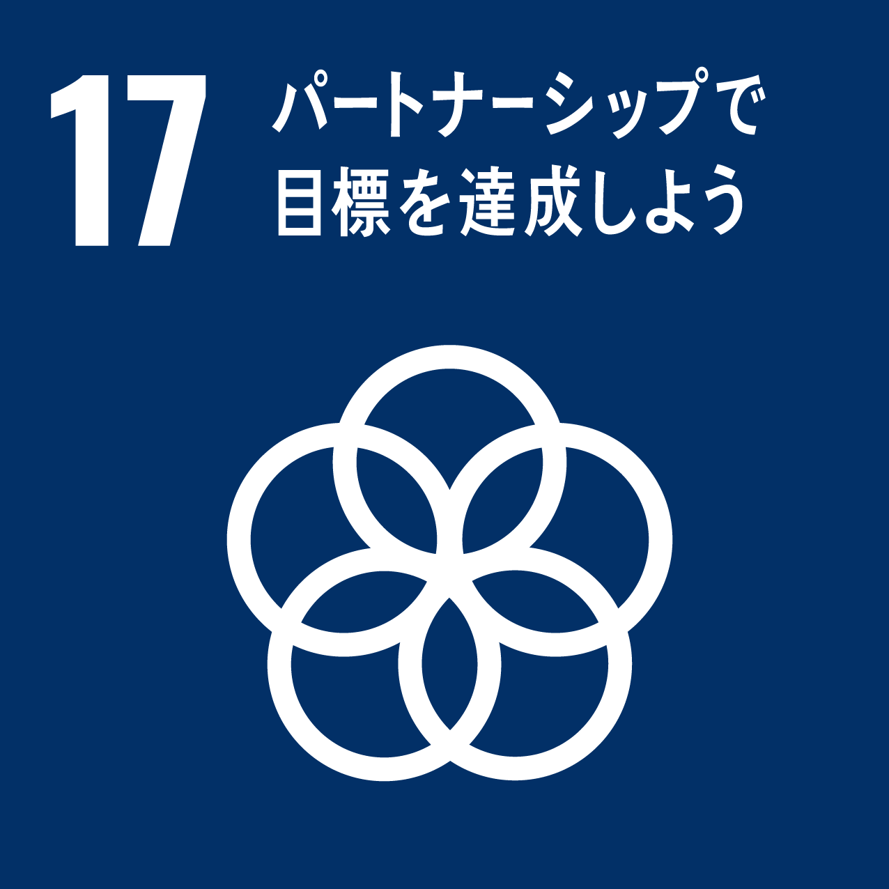 17:パートナーシップで目標を達成しよう