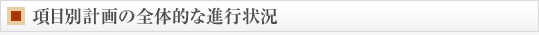 項目別計画の全体的な進行状況