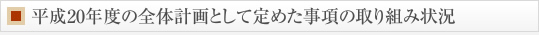 平成20年度の全体計画として定めた事項の取り組み状況