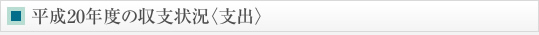 平成20年度の収支状況〈支出〉