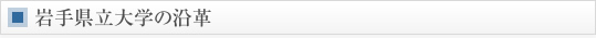 岩手県立大学の沿革