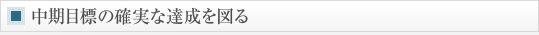 中期目標の確実な達成を図る