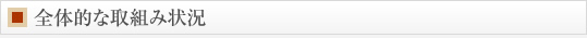 全体的な取組み状況