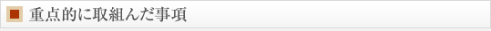 重点的に取組んだ事項