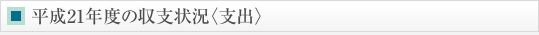 平成21年度の収支状況〈支出〉