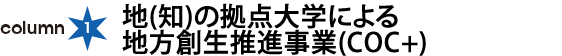 column1：地(知)の拠点大学による地方創生推進事業(COC+)