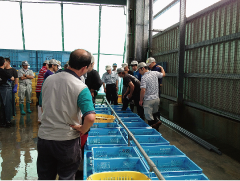 Reconstruction support utilizing IPU's intellectual property and human resources