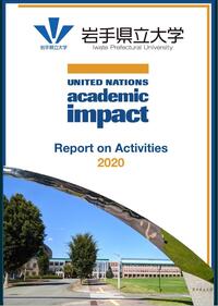 UNAI Report on Activities 2020 Cover