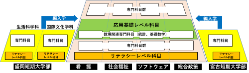 データサイエンスカリキュラム図。四大・短大共通で教育プログラムとしてリテラシーレベルと応用基礎レベルを開講します。それぞれの教育プログラムの説明は後述します。