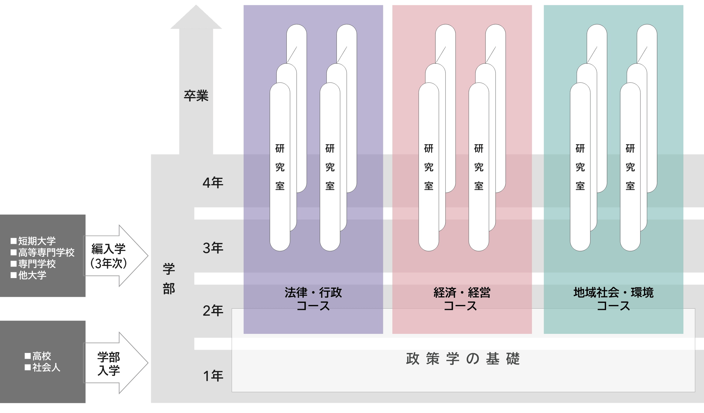 学部入学(高校・社会人)・編入学(3年次、短期大学・高等専門学校・専門学校・他大学)から卒業までの流れの図。1年次は政策学の基礎を学び、2年次から、履修コース・ゼミを選択するためのカリキュラムがスタートし、3年次より正式に3つのコース(法律・行政コース、経済・経営コース、地域社会・環境コース)のいずれかに配属されます。それぞれのコースに研究室を置き、深く掘り下げます。