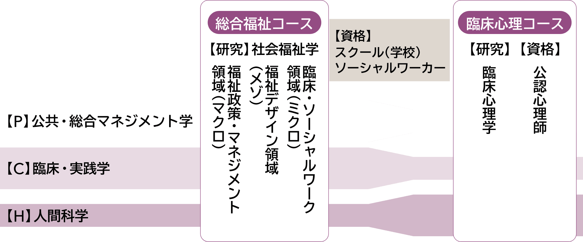 社会福祉学研究科教育課程の基礎理念図。公共・総合マネジメント学【P】臨床・実践学【C】・人間科学【H】の学問と総合福祉コース・臨床心理コースにおける専門研究(総合福祉コース:【研究】社会福祉学、臨床・ソーシャルワーク領域(ミクロ)、福祉デザイン領域(メゾ)、福祉政策・マネジメント領域(マクロ)、臨床心理コース:【研究】臨床心理学、【資格】公認心理師、両コース共通:【資格】スクール(学校)ソーシャルワーカー)を有機的に関連させ、懐の深い専門家を育成する。
