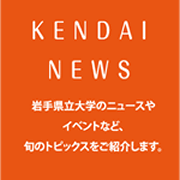 Kendai News