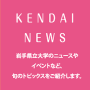 Kendai News