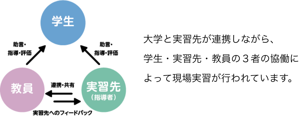 大学と実習先が連携しながら、学生・実習先・教員の３者の協働によって現場実習が行われています。