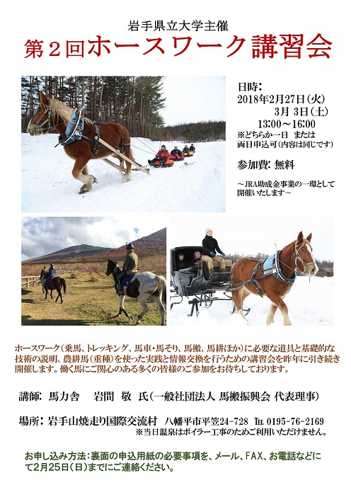 h29horsework1.jpg